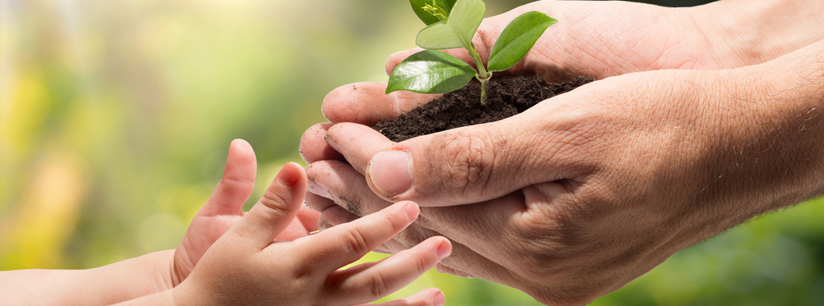 Endowment Grant Deadline is Extended!